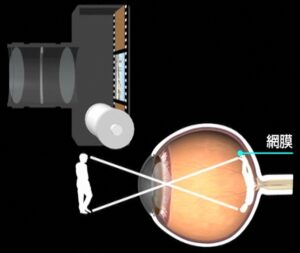 【画像】網膜とカメラ_Copyright ®iCeye